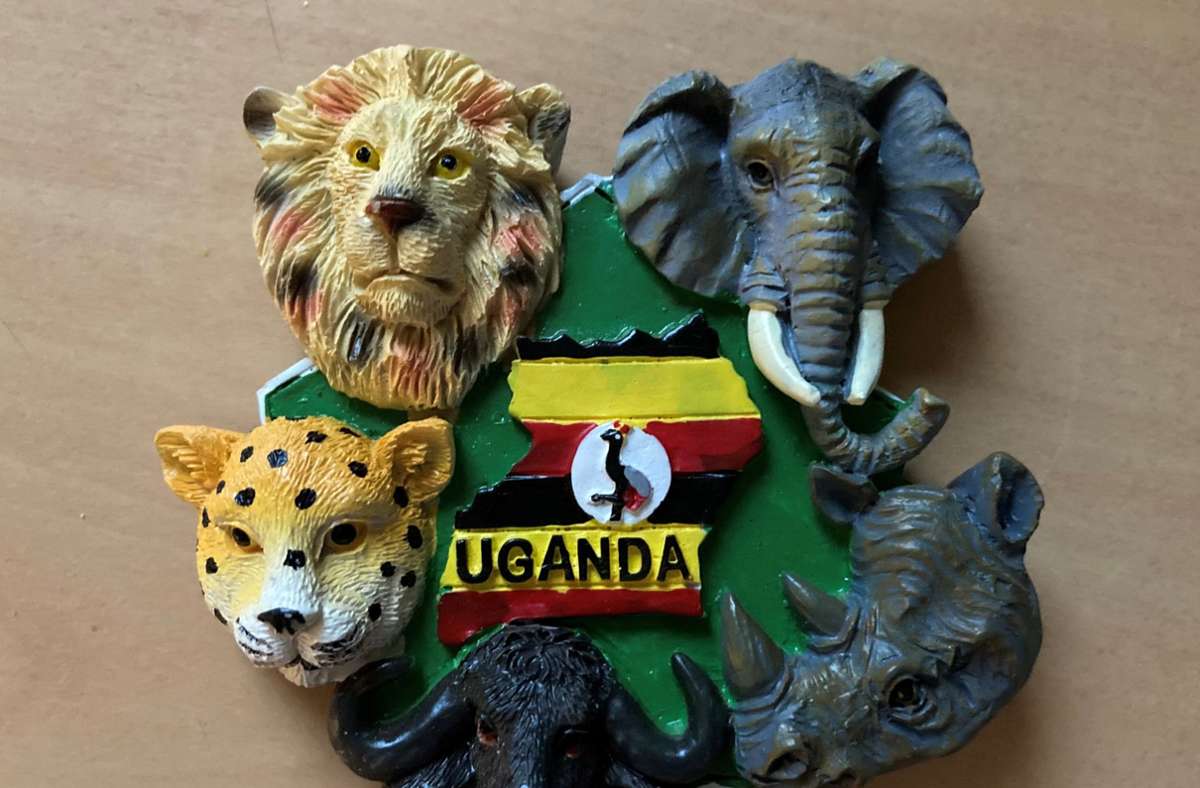 In Uganda kann man die „Big Five“ sehen: Zu diesen Tieren zählen Elefant, Nashorn, Kaffernbüffel, Löwe und Leopard.