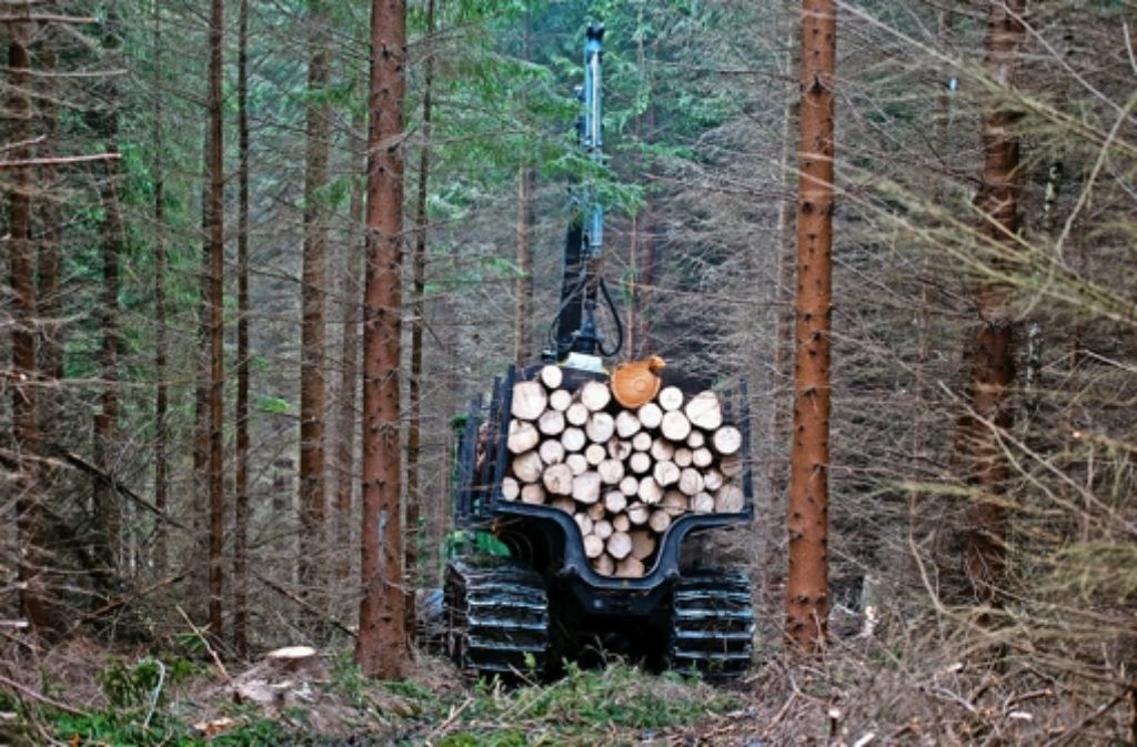 Die Holzvermarktung von Staatsforst  sowie privaten kommunalen Waldbesitzern muss in Baden-Württemberg dem Bundeskartellamt zufolge getrennt werden. Foto: dpa