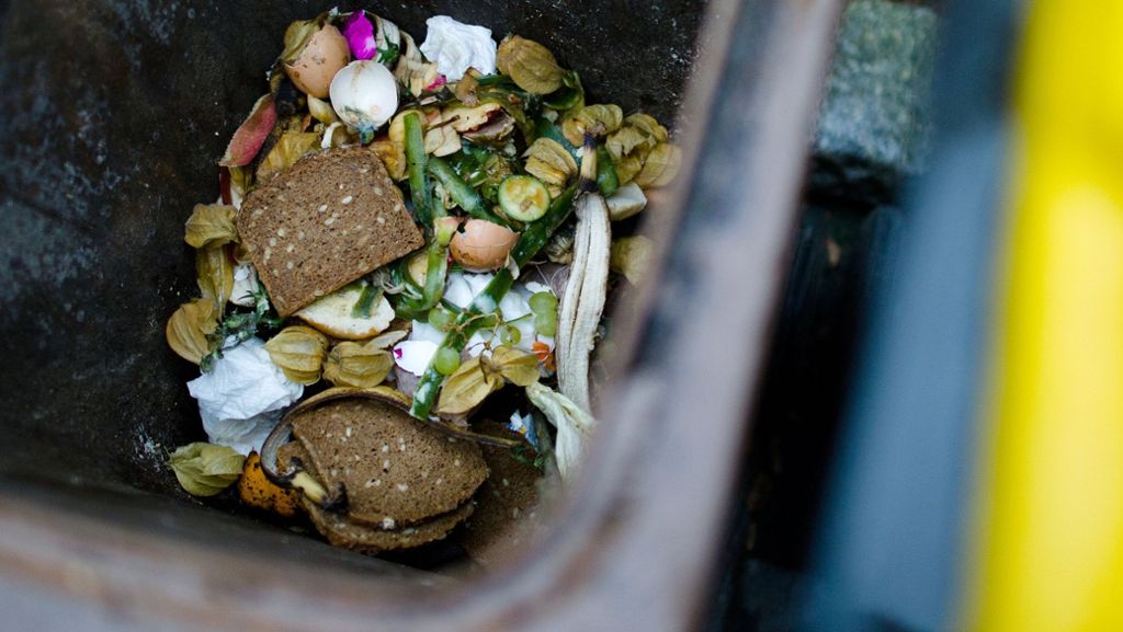 Zu wenig Mülltrennung im Kreis Göppingen: Können Müllsherriffs den Biobeutel retten?