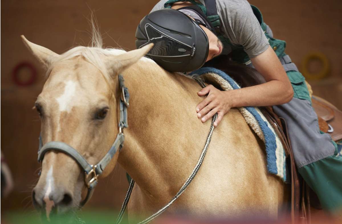 Die Pferde auf dem Hof am Schlossberg sind Therapeuten, Partner und Freunde für die Reiterinnen und Reiter.