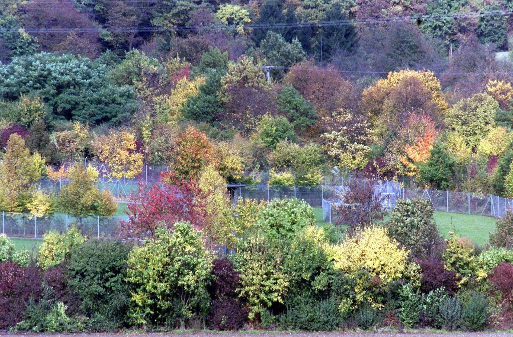 Traumhafte Herbstfärbung rund um den Tennhof.
