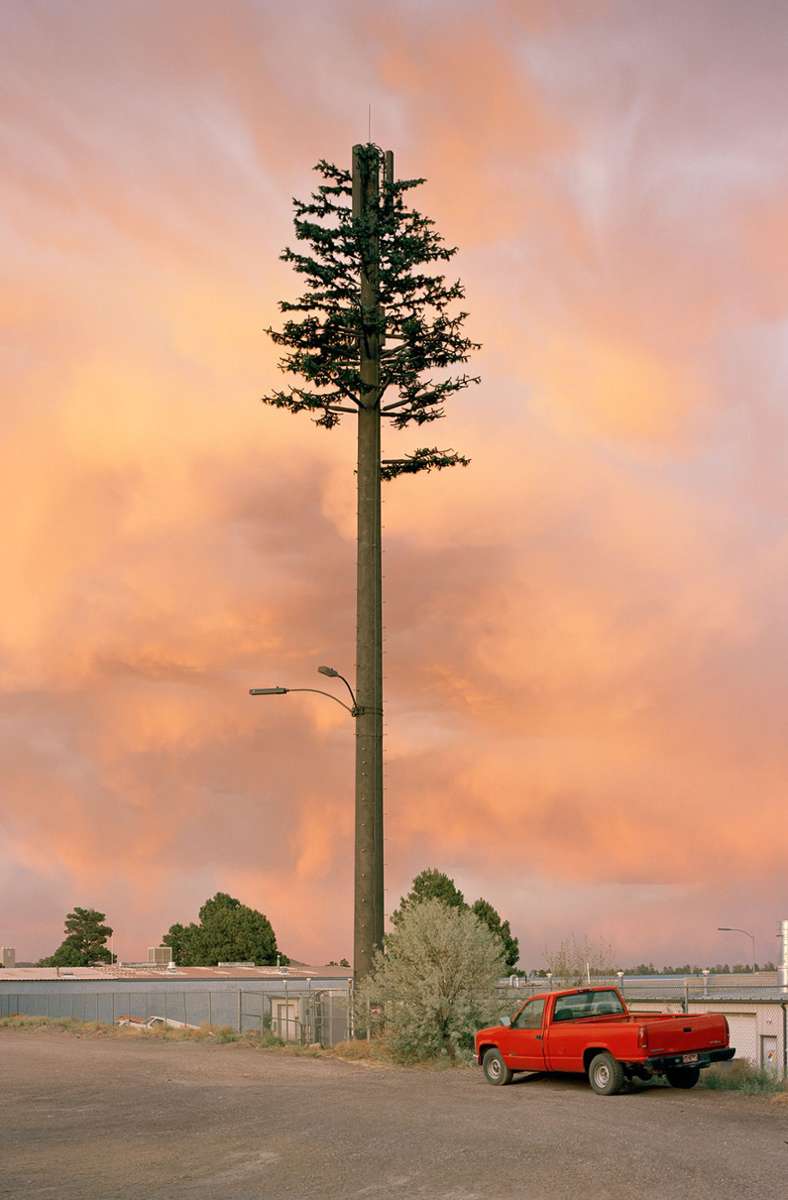 Ist der Mensch der bessere Schöpfer? Robert Voit hat künstliche Bäume fotografiert, die als Funkmasten dienen: „New Trees, Industral Drive, Flaggstaff Arizona“ (2006).