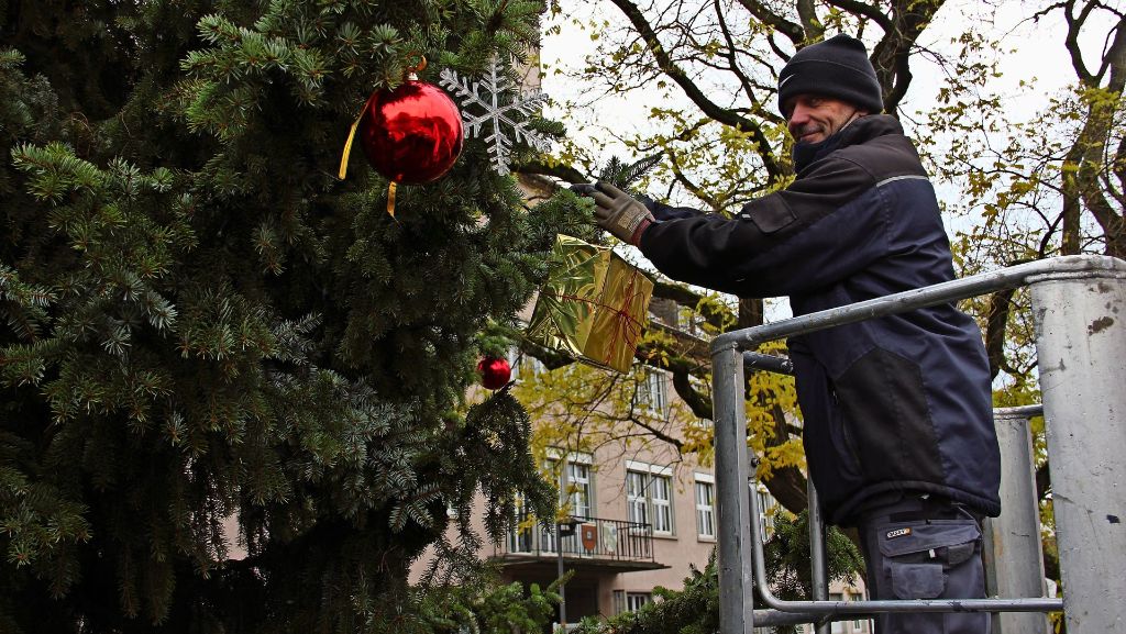 Weihnachtsbaum in Zuffenhausen: Eine zehn Meter hohe Fichte läutet die Weihnachtszeit ein