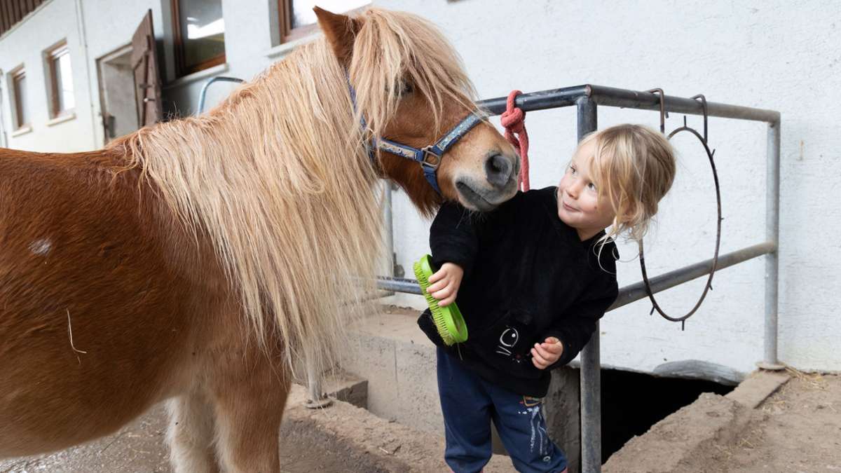 Ranch in Ludwigsburg: Auf dem Pferd fürs Leben lernen