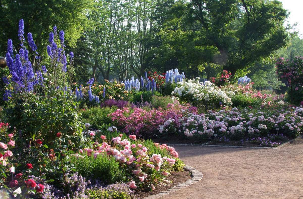So präsentiert sich der Rosengarten in Zweibrücken im Sommer, wenn die Rosen und Stauden üppig blühen.