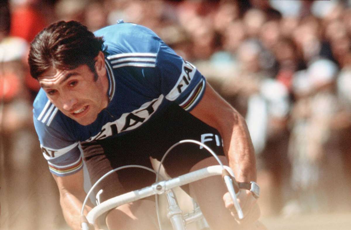 Eddy Merckx Der über allen thronende König des Radsports ist Eddy Merckx (im Foto 1977 bei der Tour de France). Der Belgier gewann die drei Großen Rundfahrten Tour de France (5 Gesamtsiege), Giro d’Italia (5) und Vuelta a España (1), er triumphierte darüber hinaus bei Klassikern wie der Tour de Suisse, bei Paris-Nizza oder Paris-Roubaix, bei kleineren Radrennen und bei Sechstagerennen auf der Bahn. In den Annalen werden Merckx 525 Rennsiege auf der Straße sowie 98 Erfolge auf der Bahn und zwei Triumphe bei Querfeldein-Rennen gutgeschrieben.