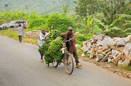 Bauern transportieren  in Burundi Kochbananen mit einem Fahrrad auf den Markt Foto: Imago