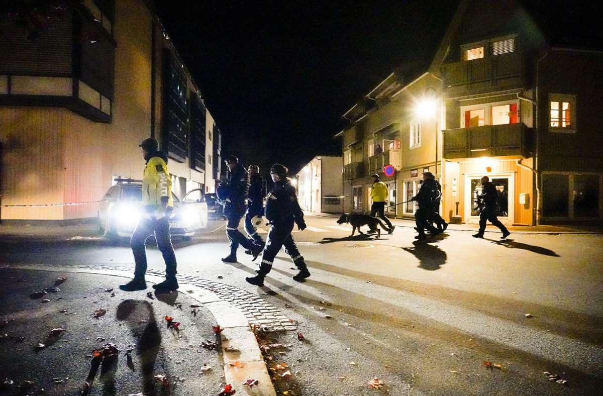 Der Täter wurde in eine Polizeidienststelle in der Nachbarstadt Drammen gebracht.