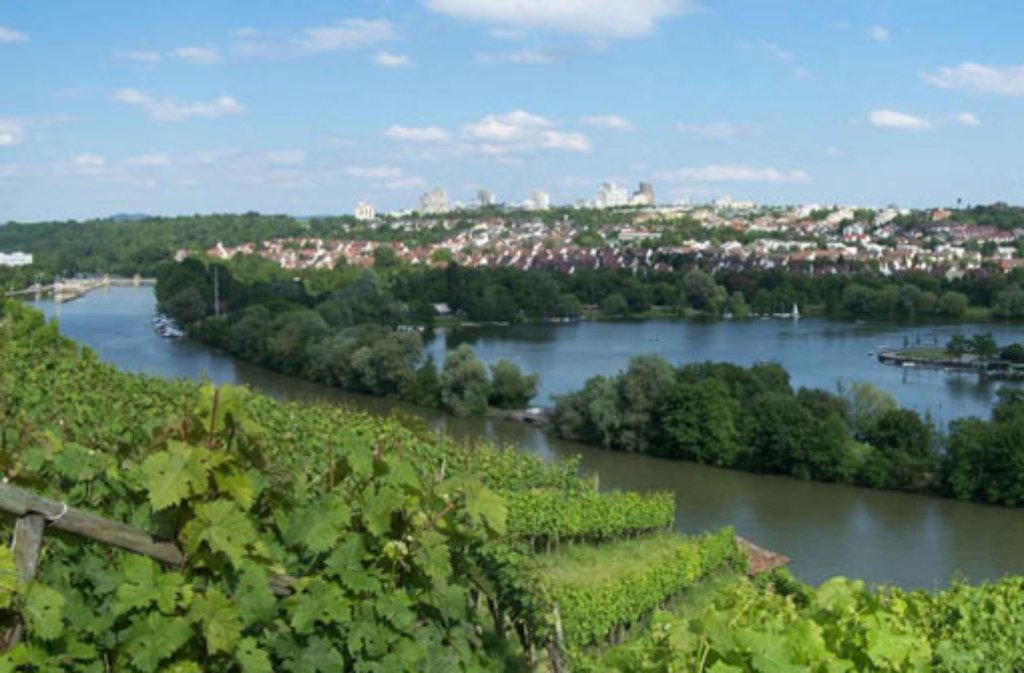 Am Fuße der Weinberge zwischen Mühlhausen und Hofen liegt der Max-Eyth-See direkt am Neckar. Am Wochenende strömen die Stuttgarter in das Naherholungsgebiet zum Boot fahren, Segeln und Angeln - das Baden ist allerdings auch hier nicht erlaubt.