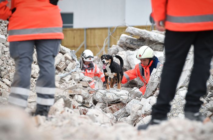 Übung in Stuttgart: Wenn Hunde zu Helfern werden