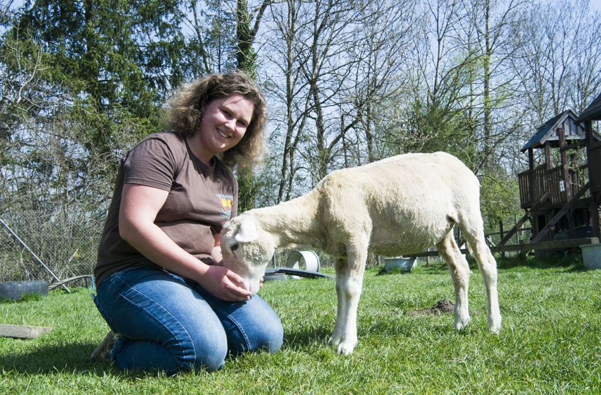 Shauny wurde jetzt geschert. Davor hatte das Schaf die gleiche Frisur wie seine beste Freundin Franziska Bauer.