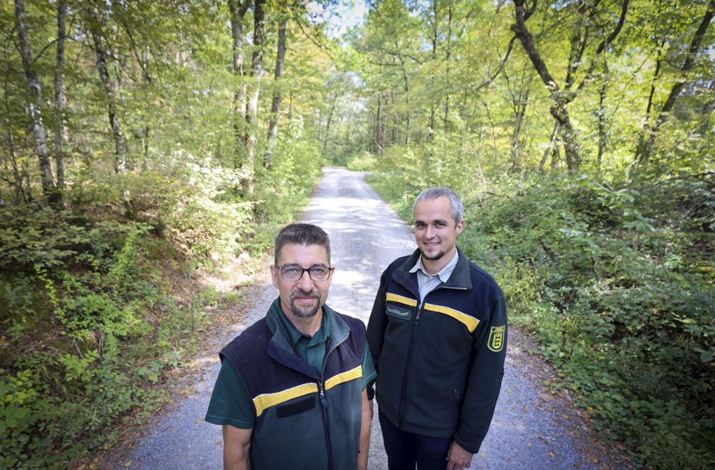Theo Wöhr, Revierförster im Kirbachtal, und Michael Nill, stellvertretender Leiter des Fachbereichs Forsten im Landratsamt Ludwigsburg.