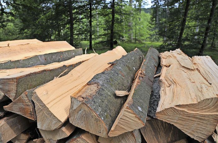 Hildrizhausen: Brennholz aus dem Gemeindewald wird richtig teuer