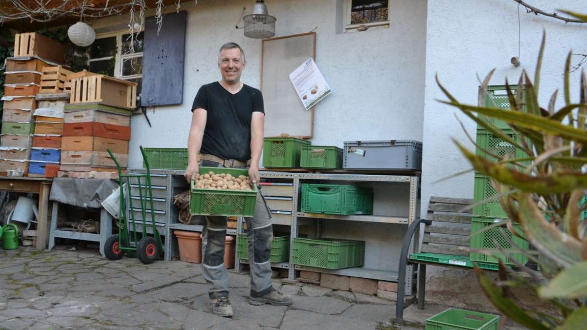 Ökologische Landwirtschaft in Möhringen: Direkt vom Acker statt aus dem Supermarkt