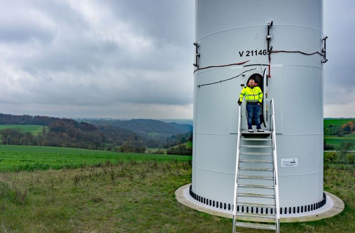 Windkraft in Baden-Württemberg: Mit Kameras gegen den Vogeltod