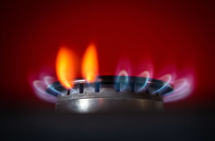 Energiekrise in Deutschland: Bundesregierung: Gaspreisbremse ab Januar schwer umsetzbar