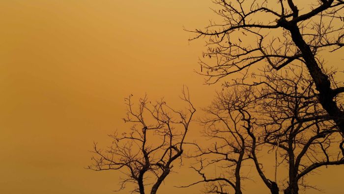 Wetterphänomen Saharastaub: Warum der Himmel mal wieder so gelb ist