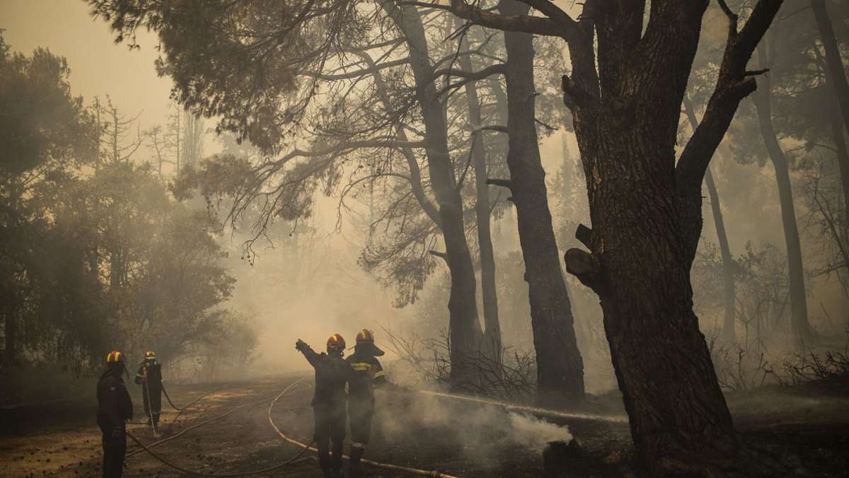 Wo brennt es in Europa?: Aktuelle Karte der Waldbrände
