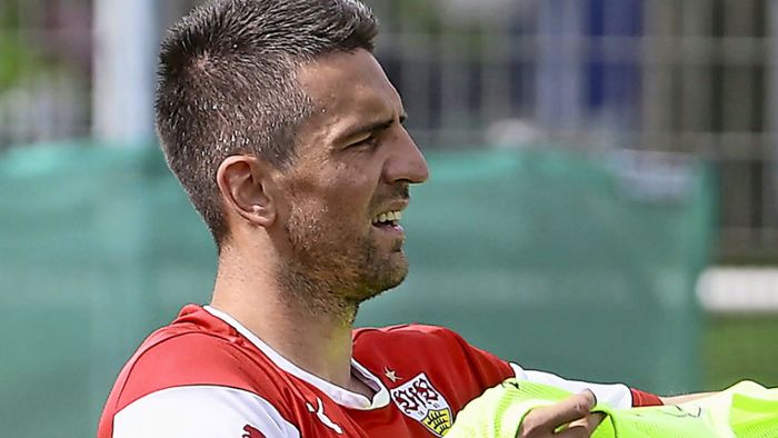 Vedad Ibisevic wird Co-Trainer in New York