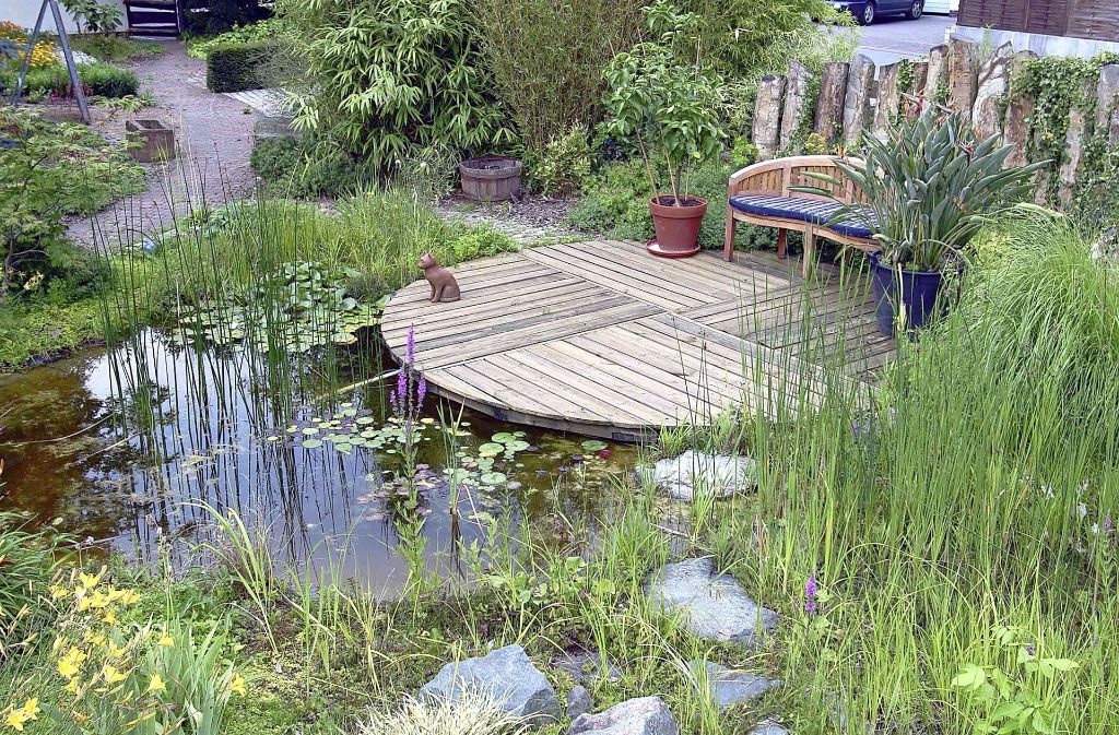 Gartenteich: Unfallexperten wie Inke Ruhe ist der Teich ein Graus. Wer nicht auf ihn verzichten möchte, sollte ihn einzäunen und Kinder im Garten niemals aus den Augen lassen.