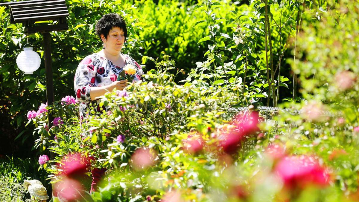 Gartenboom in Stuttgart: Schrebergärten sind gefragt wie noch nie