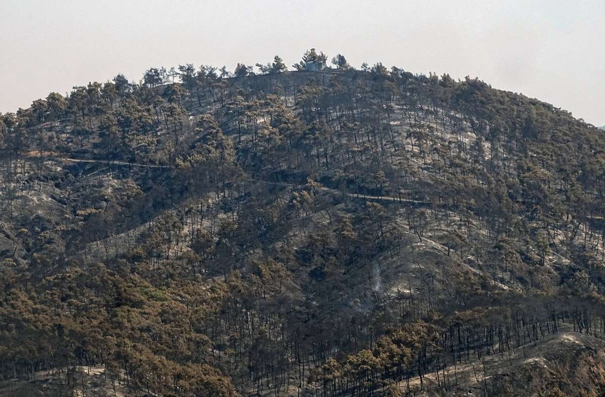 Die Feuer hinterlassen Berge mit verkohlten Wäldern.