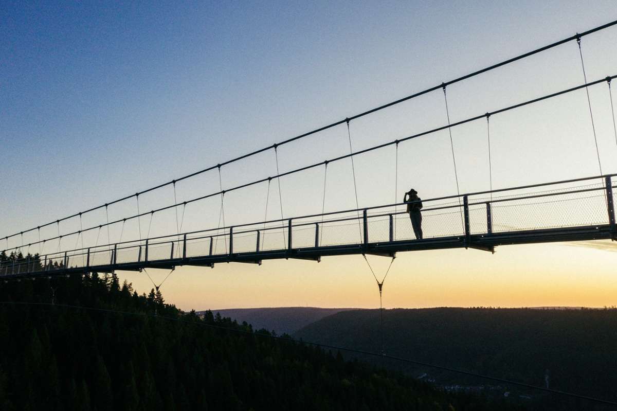 Die Hängeselbrücke Wildline: 380 Meter pures Adrenalin in 60 Metern Höhe, mit 300 Metern tiefen Ausblicken