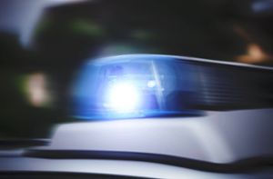 Weißer Renault in Mötzingen gestohlen