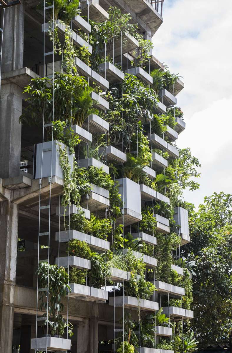 Das Architekturbüro VTN Architects übernimmt ausschließlich Aufträge, die Architekturbegrünung vorsehen, wie beim Urban Farming Office im vietnamesischen Ho-Chi-Minh-Stadt. Hier wird auf vertikaler Ebene auch Landwirtschaft betrieben: Jährlich wirft das Fassadengrün eine Tonne Lebensmittel, Kräuter-, Obst- und Gemüsearten ab.