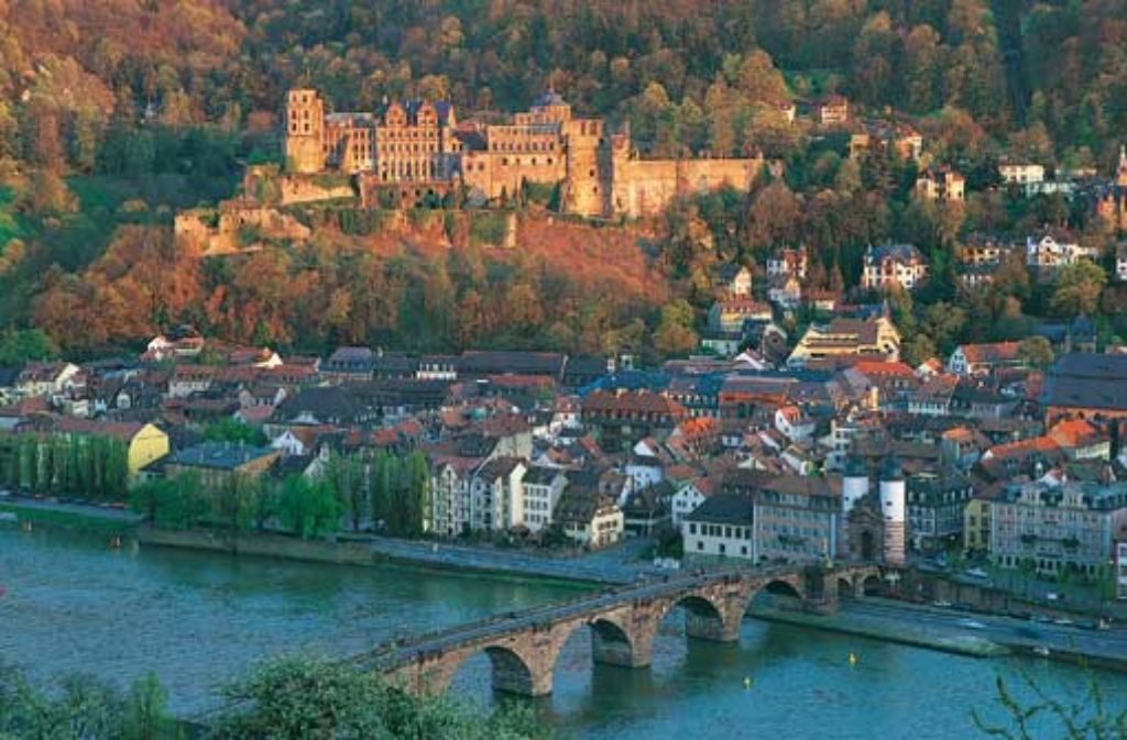 In Heidelberg bekommen Freerider ihre eigene legale Strecke.