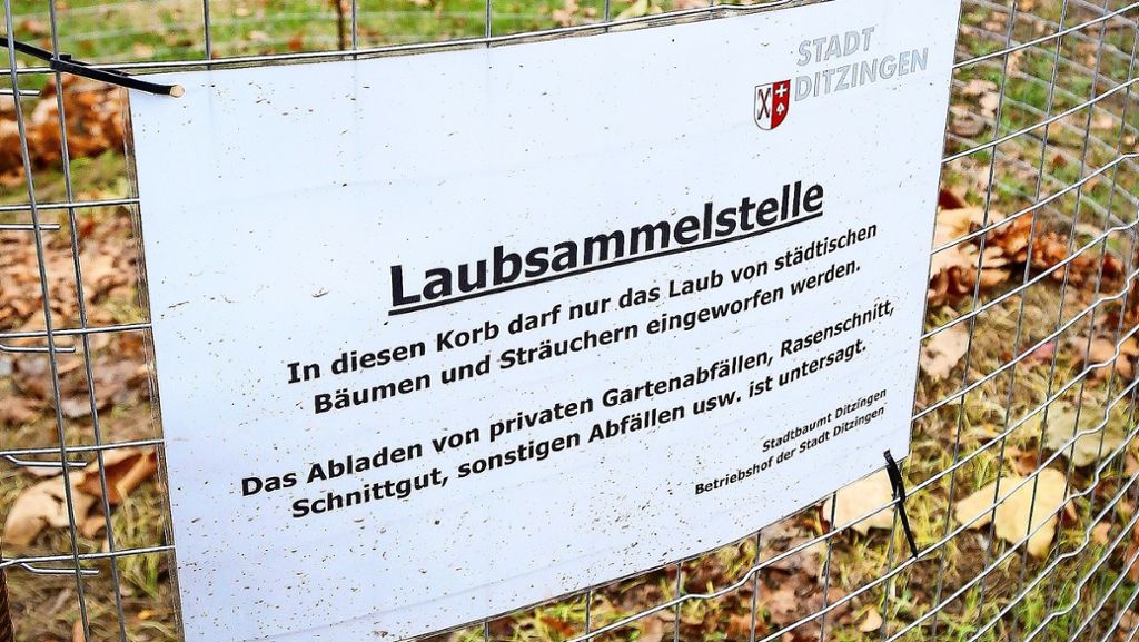 Neue Aktion auf Grünflächen: Ditzingen gibt  Laubsammlern einen Korb