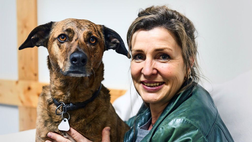 Lieblingsstück von Hilli Pressel: Ein Hund als  Therapeutin