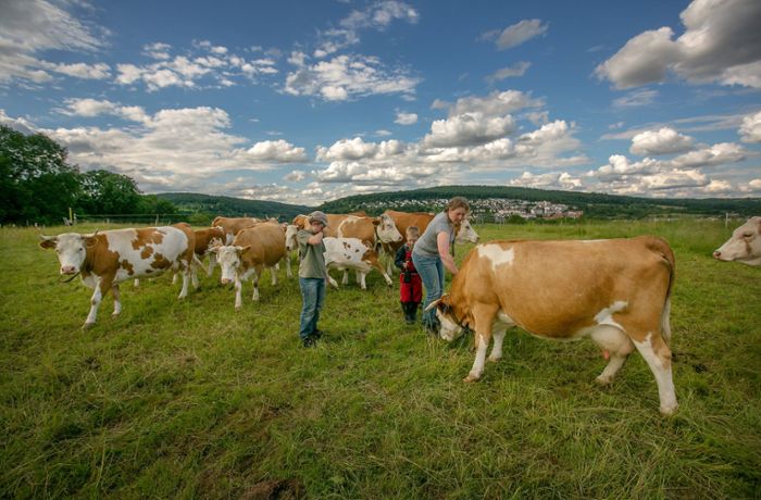 Tierrechtler gehen gegen Milchbauern vor