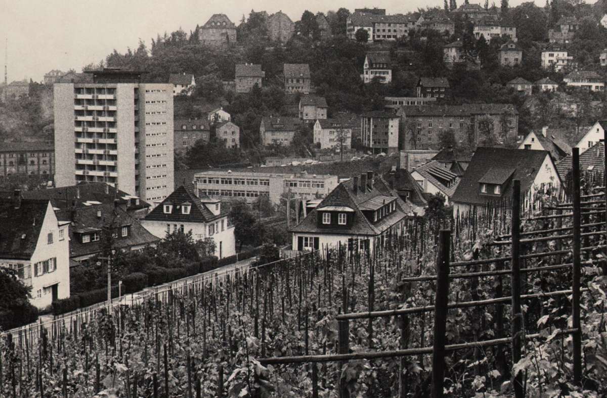 Weinberge mitten in der Stadt im Jahr 1967 an der Robert-Mayer-Straße