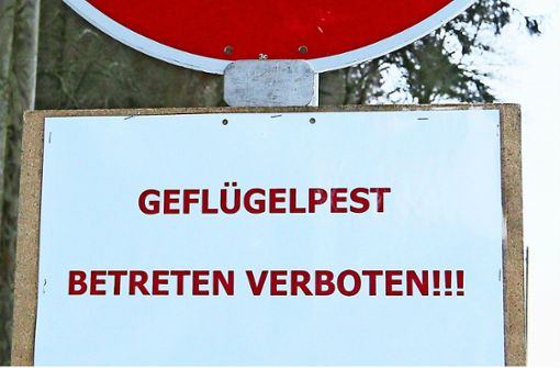 Vorsicht Geflügelpest: Zwei Betriebe in Kuppingen sind betroffen. Foto: /Eky Eibner/Archiv