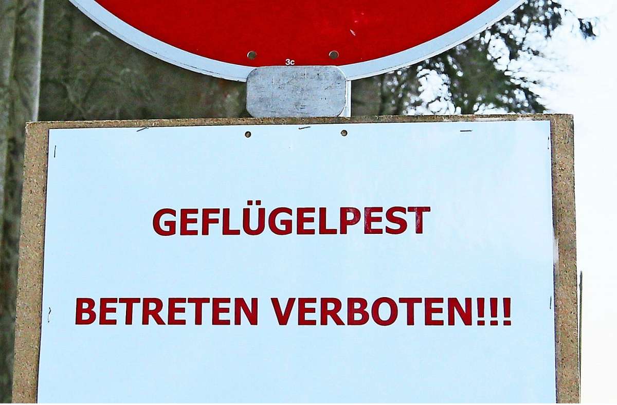 Vorsicht Geflügelpest: Zwei Betriebe in Kuppingen sind betroffen. Foto: /Eky Eibner/Archiv