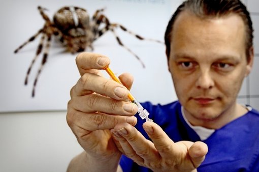 Über den Faden der Spinne kann Philip Zeplin richtig ins Schwärmen geraten. Foto: factum/Granville