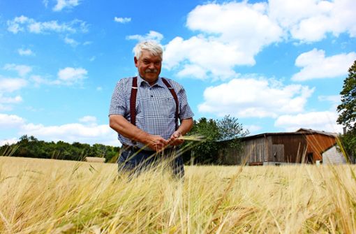 Landwirt Konrad Ritz inmitten seines Getreidefeldes am Fuße des Grünen Heiners in Weilimdorf Foto: Chris Lederer