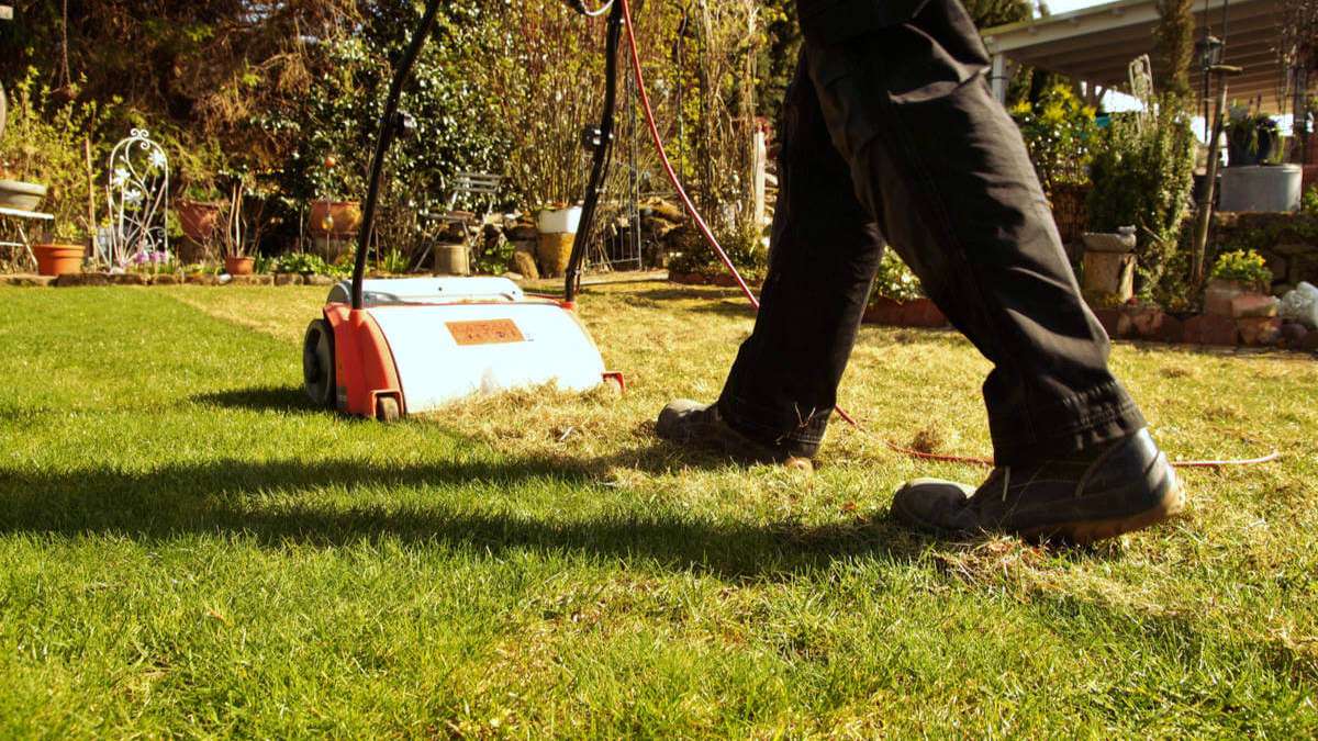 In diesem Artikel zeigen wir Ihnen die 10 wichtigsten Tipps, wie Sie Ihren Rasen schonend und effektiv vertikutieren.