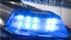 Gewürgt und die Treppe hinuntergestoßen: Leonberger geht auf Gerichtsvollzieherin los