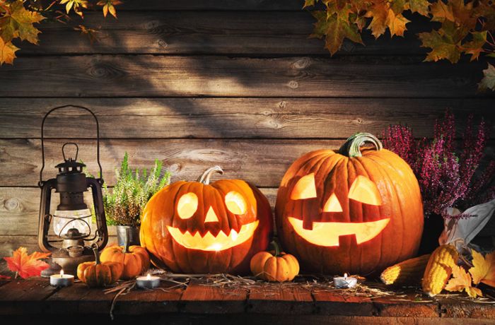 In diesem Artikel erfahren Sie wann der beste Zeitpunkt für Ihre Halloween-Deko ist. (kaufen + aufstellen)
