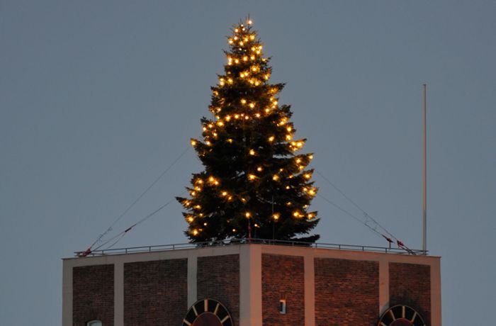 Der Weihnachtsbaum leuchtet bald wieder