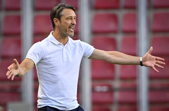 Niko Kovac wird wohl neuer Trainer bei den Wölfen