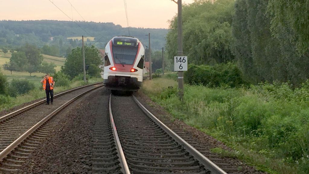  Wie konnte es zu dem Unfall eines Regionalzugs mit einer Schafherde im Kreis Konstanz kommen? Der Elektrozaun des Geheges wird nun untersucht – und auch Zeugen werden gesucht. 