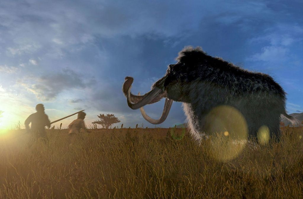 Die letzten Vertreter der Mammute starben erst vor rund 4000 Jahren auf der nordsibirischen Wrangelinsel aus.