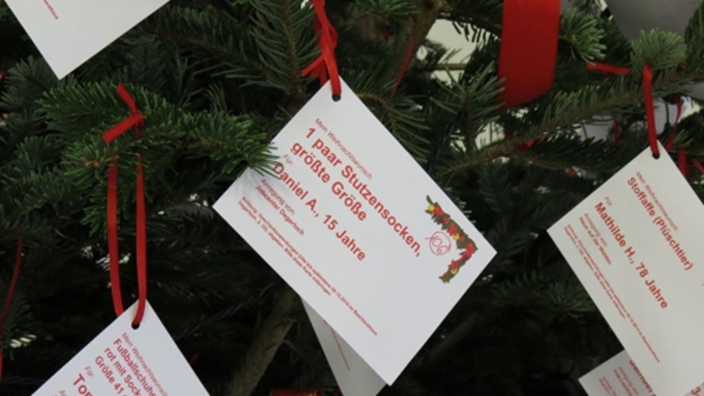 Weihnachtsaktion in Degerloch: Wunschbaum steht im Rathaus