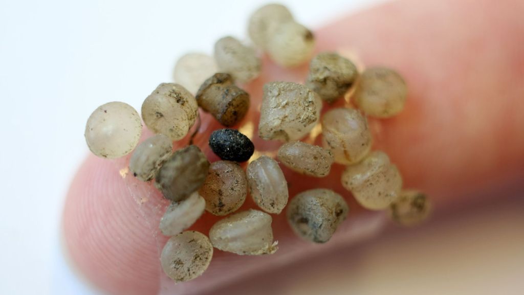Kunststoffpartikel: Forscher finden erstmals Mikroplastik in menschlichen Stuhlproben