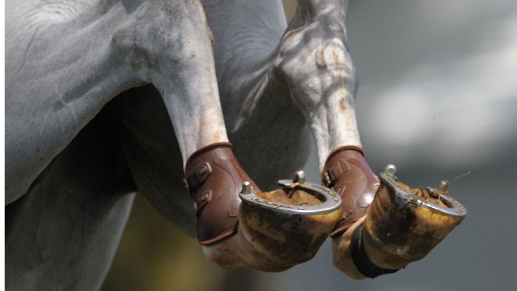 Festumzung in Laupheim: Pferde gehen durch – Kind wird von Hufe getroffen und verletzt