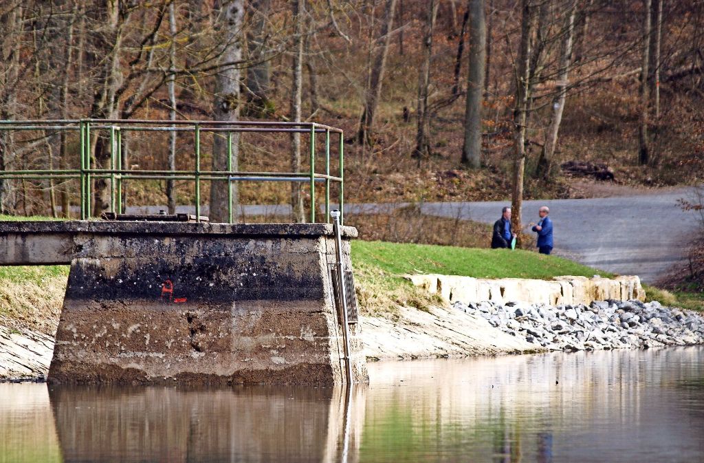 Netze BW und Wasserforum sind unterschiedlicher Meinung, wem der Steinbach- und der Katzenbachsee (Foto) gehören. Foto: Archiv R.  Ott