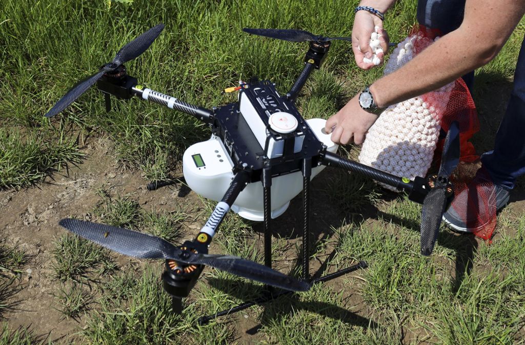 Befüllt wir die Drohne mit kleinen Kapseln zur Bekämpfung des Maiszünslers, einem Schädling, der vielen Landwirten...